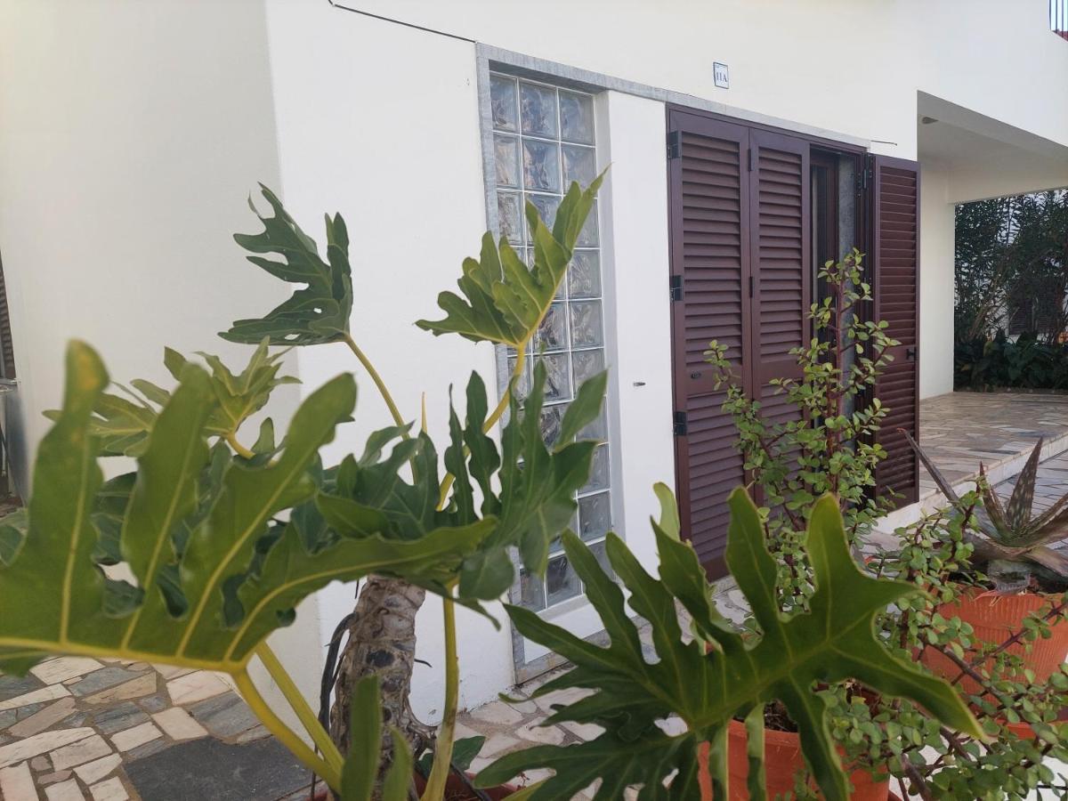 Eleven -a- Tipo T1 Appartement